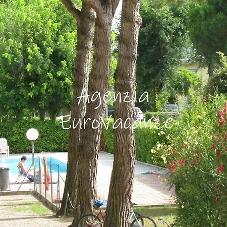 Azalee * Μπιμπιόνε